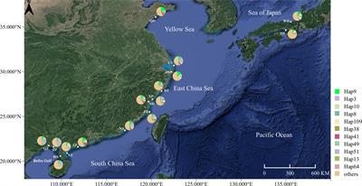 The role of ancestral seascape discontinuity and geographical distance in structuring rockfish populations in the Pacific Northwest